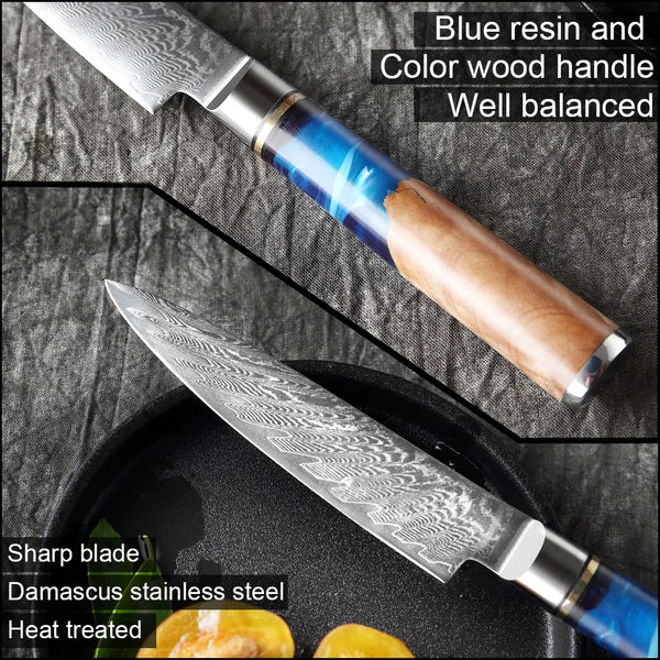 Tesoro Damascato Azzurro - Cuchillo de Chef de 12,5 cm de acero damasco VG10 - 67 capas